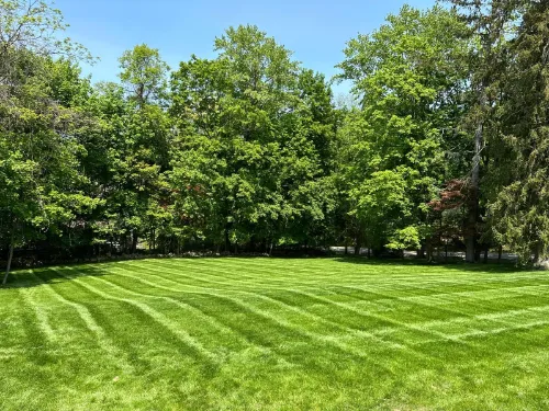 Morales Lawn & Garden team member with garden tools in Armonk NY