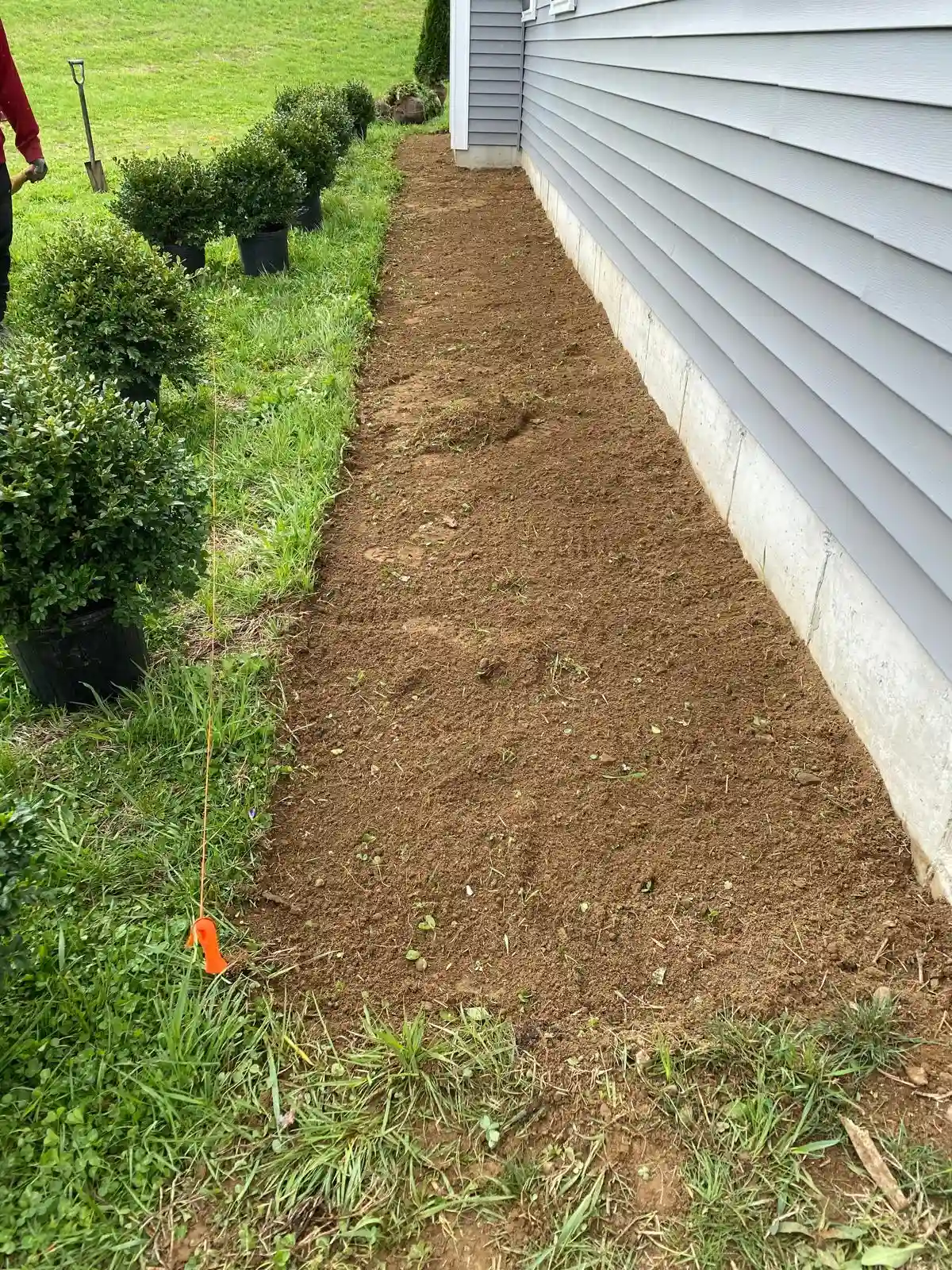 Shrub planting installation Westchester NY — Morales Lawn & Garden