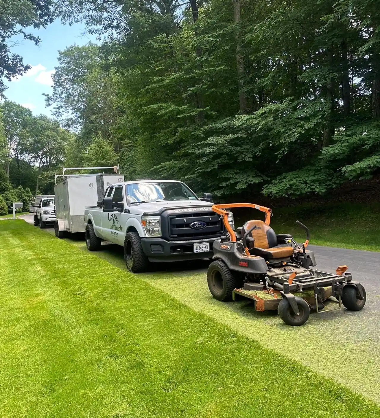 Best time to plant in Westchester and Putnam County