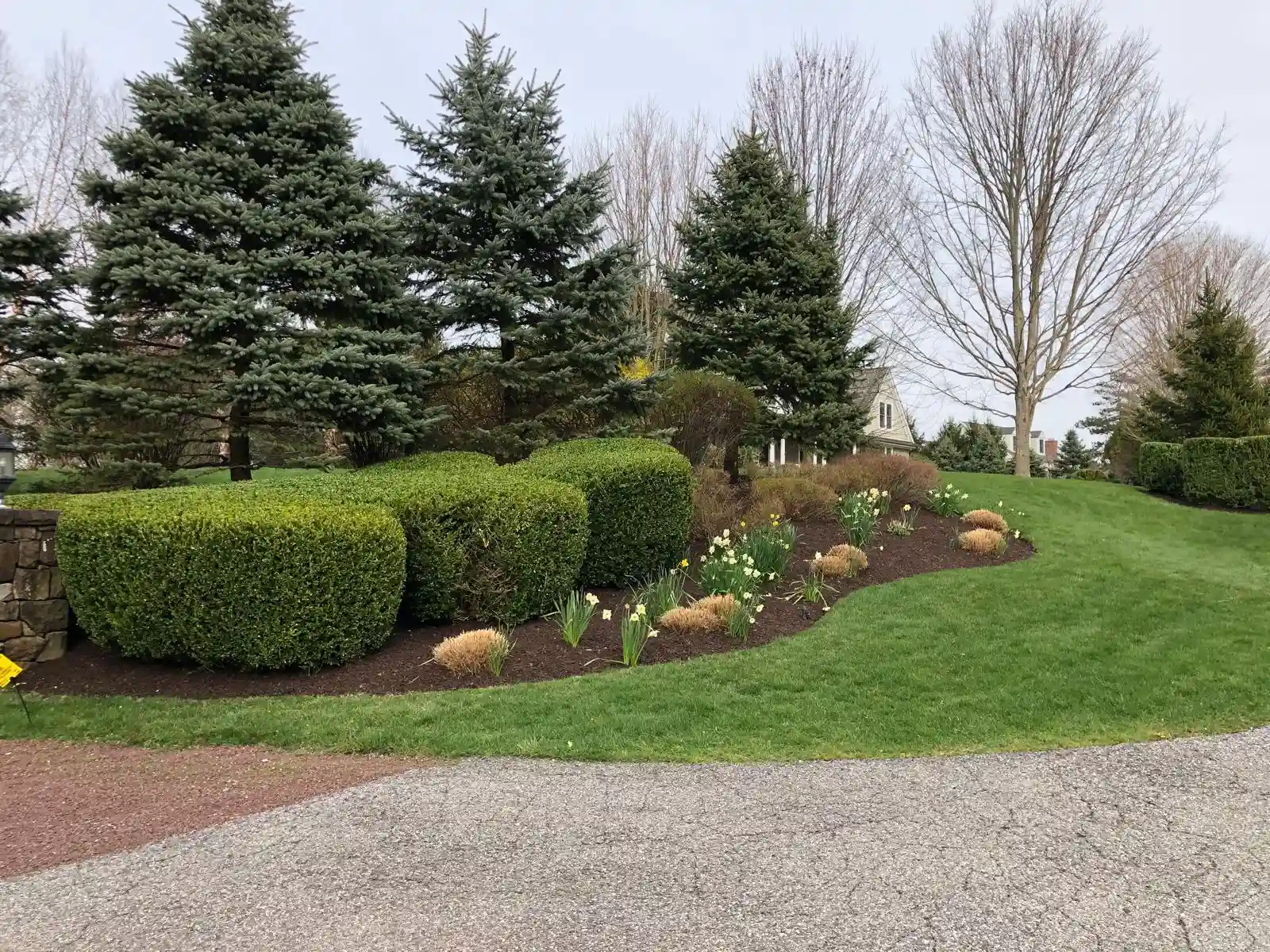 Tree services in Armonk NY by Morales Lawn & Garden