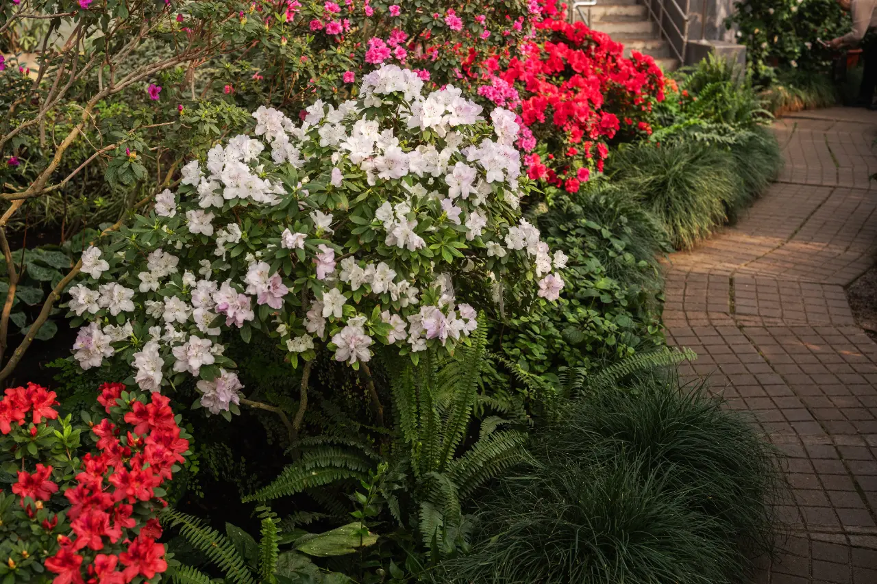 Seasonal color planting Putnam County NY — Morales Lawn & Garden