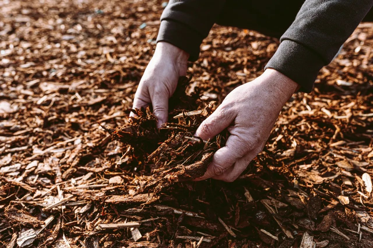 Mulching services in Armonk NY