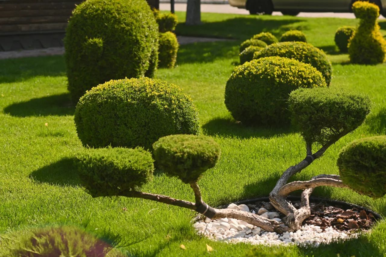 Garden design services in Armonk NY