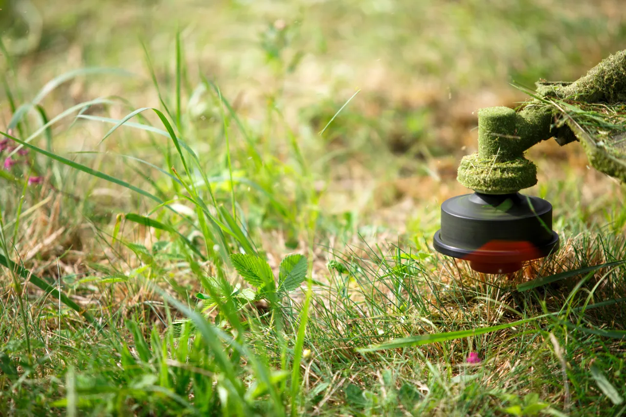 Grass cutting Armonk NY — Morales Lawn & Garden LLC